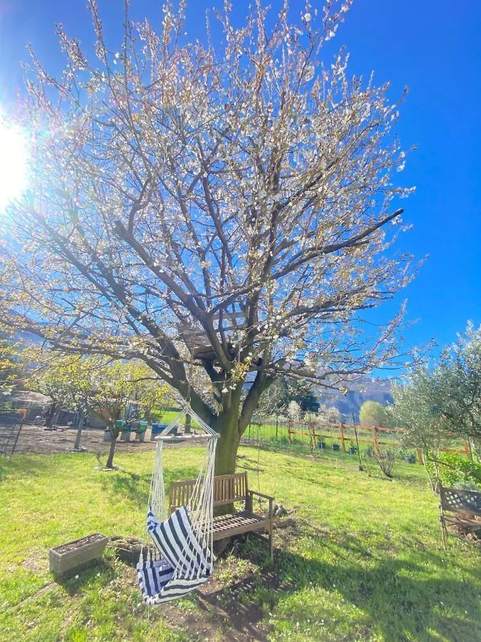 Апартаменты Il Giardino Dei Ciliegi Колико