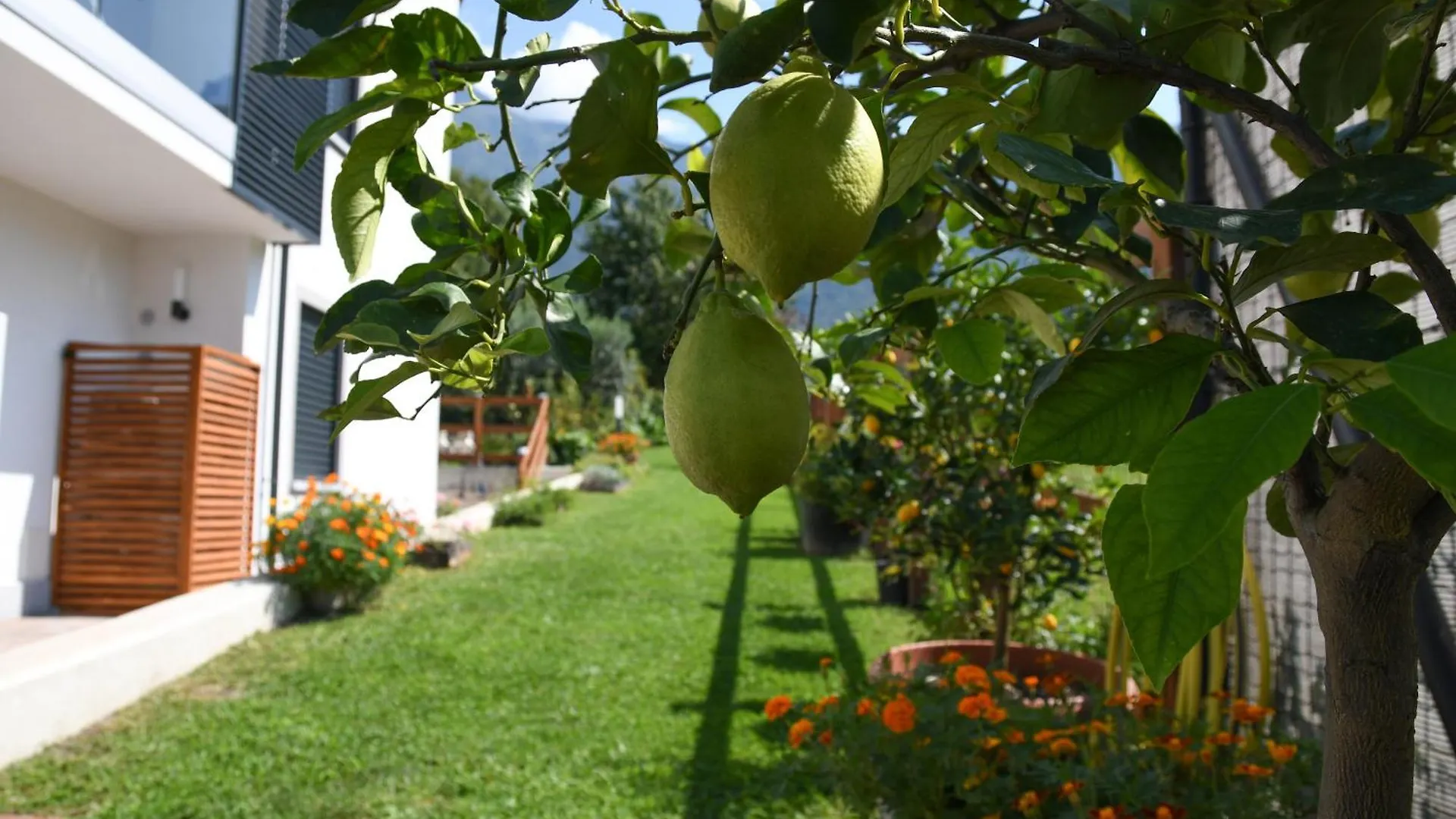 Апартаменты Il Giardino Dei Ciliegi Колико