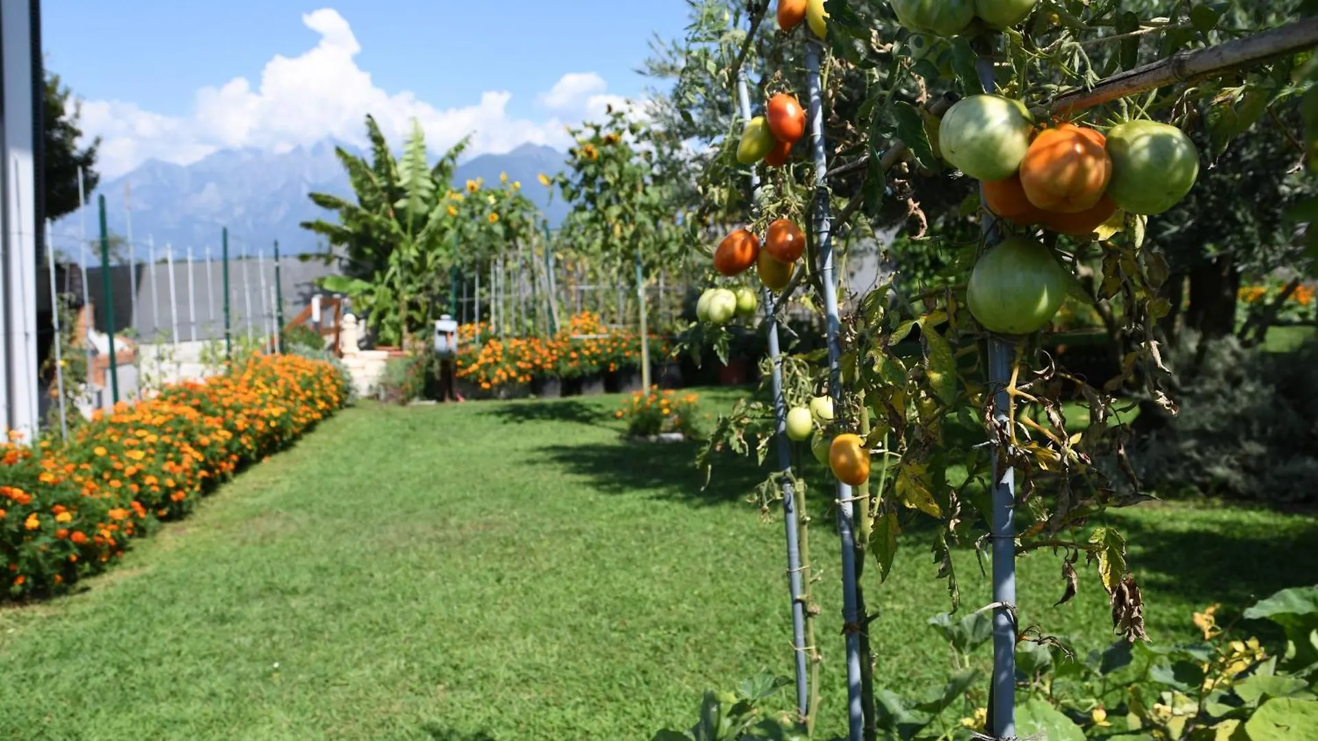 Апартаменты Il Giardino Dei Ciliegi Колико