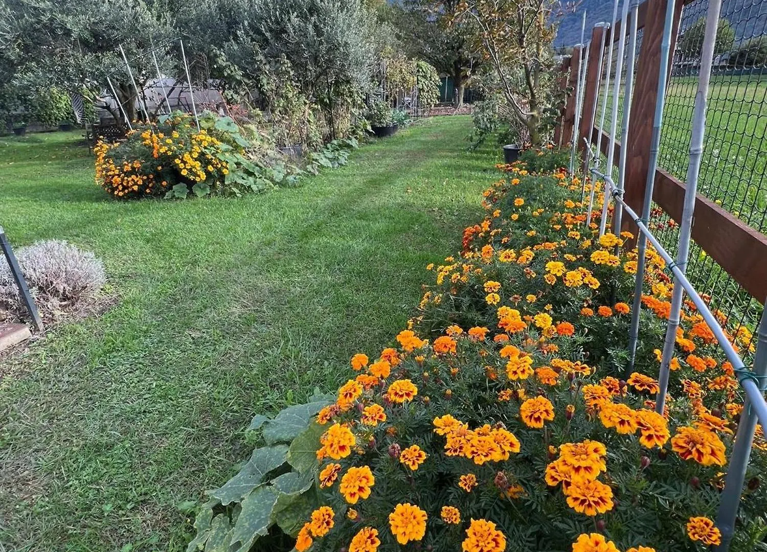 Апартаменты Il Giardino Dei Ciliegi Колико