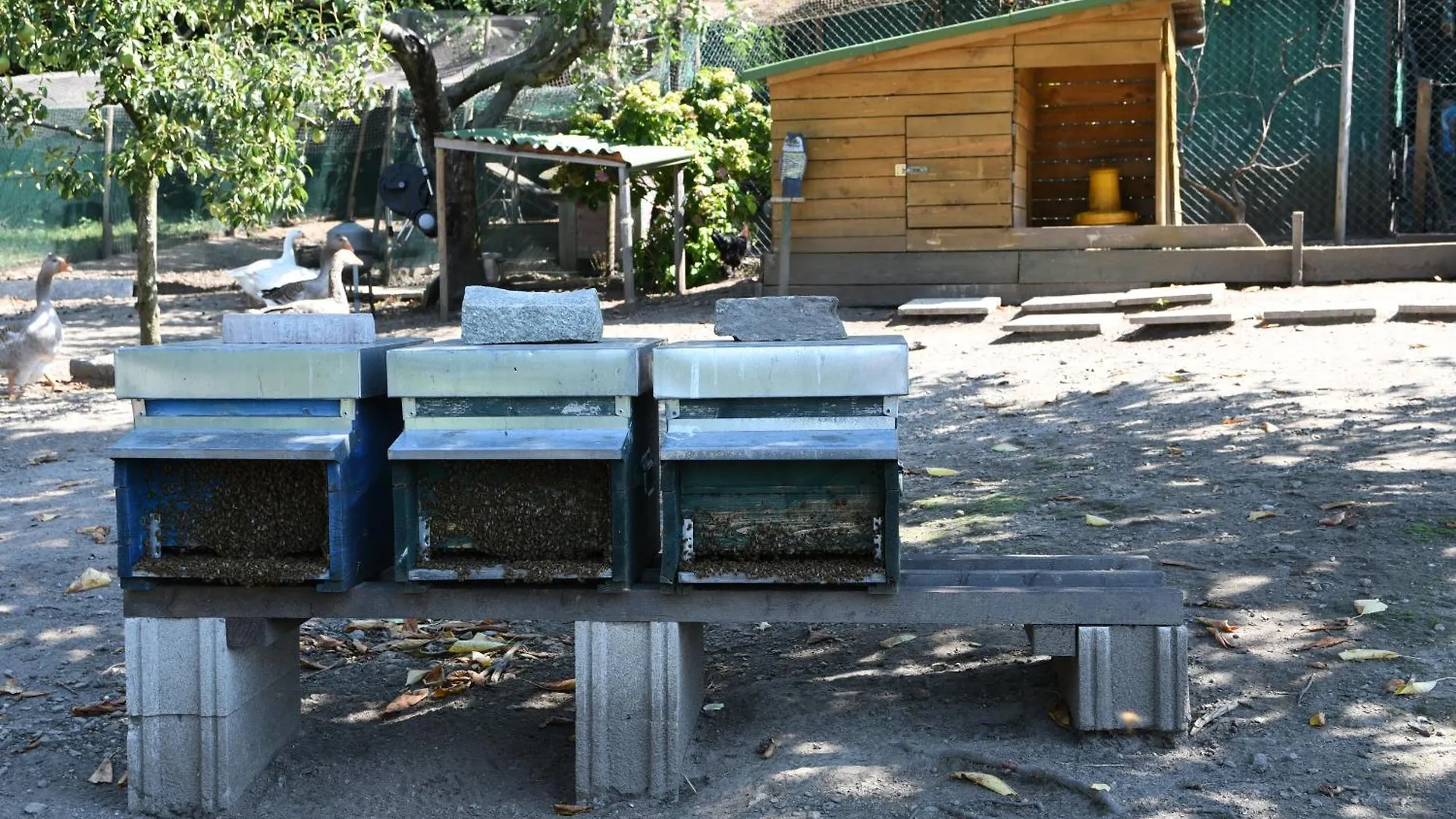 Il Giardino Dei Ciliegi Apartment Colico 0*,