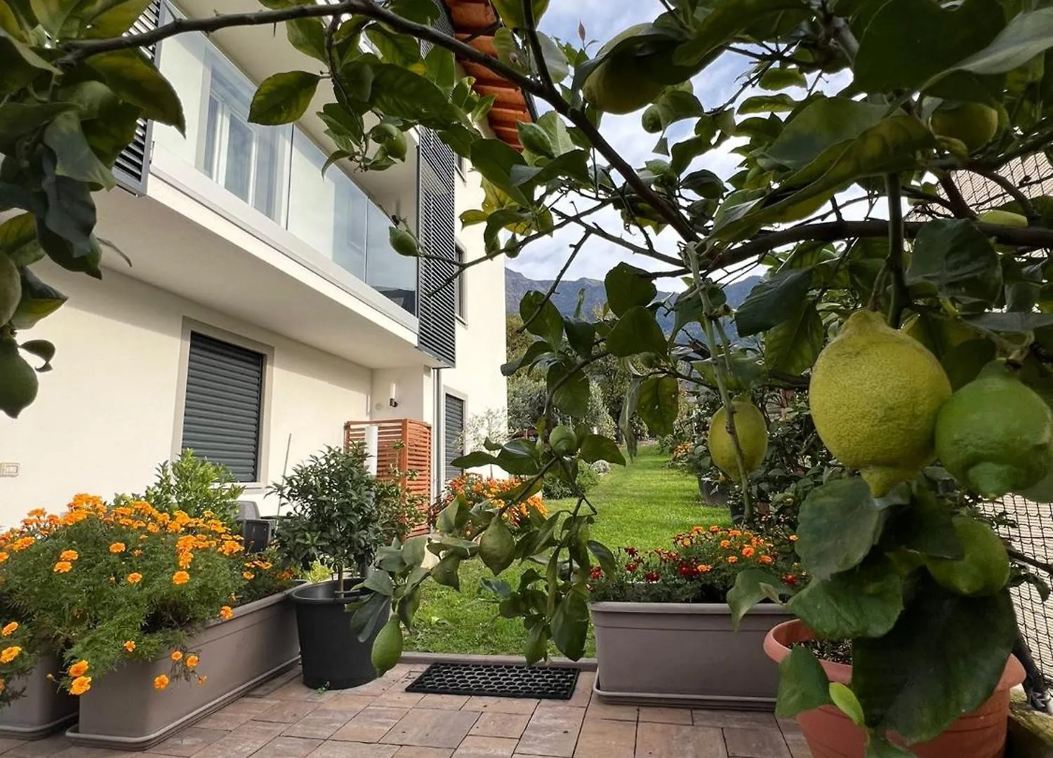 Il Giardino Dei Ciliegi Apartment Colico